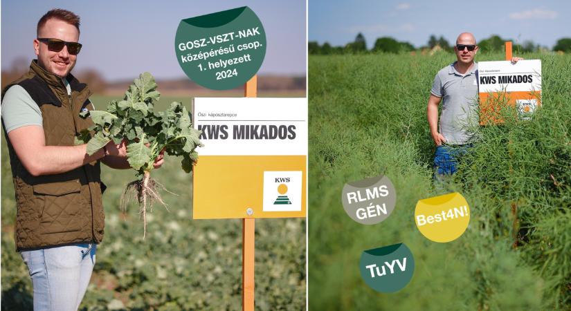 KWS – tíz éve első a repcetáblákon*, első az innovációban!