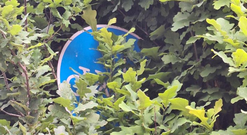 A természet nem ismeri a KRESZ-t, az autós viszont megszívja a kitakarást