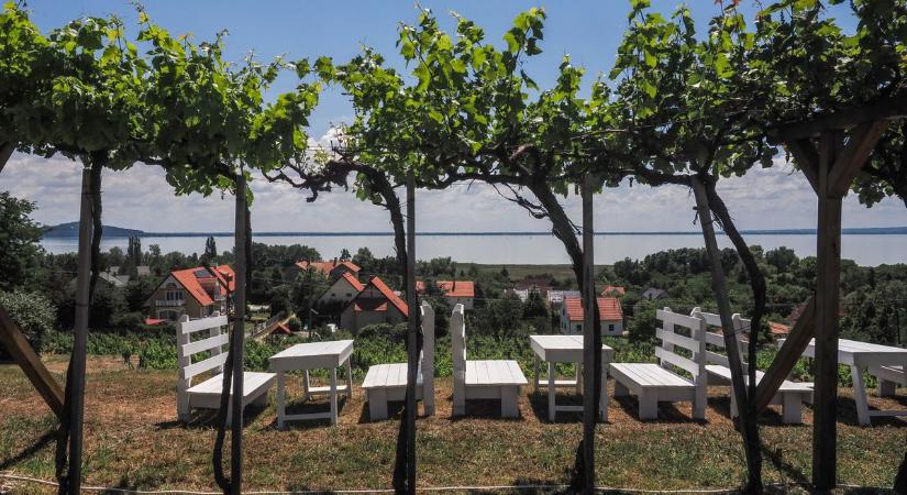 Így reagált Balatonalmádi kilépésére az önkormányzati társulás elnöke