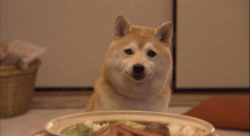 Kitörés előtt állhat a Dogecoin – erre kell most figyelni