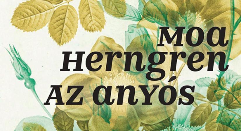 Az anyós nem vicc?