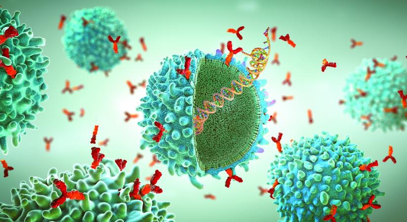 Immuno-onkológiai kezelések mellékhatásai
