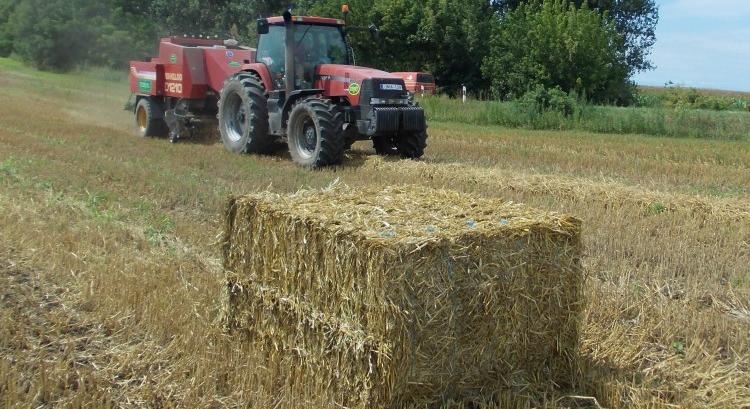 Őrülten vették a napraforgóadaptert, de az összkép sivár