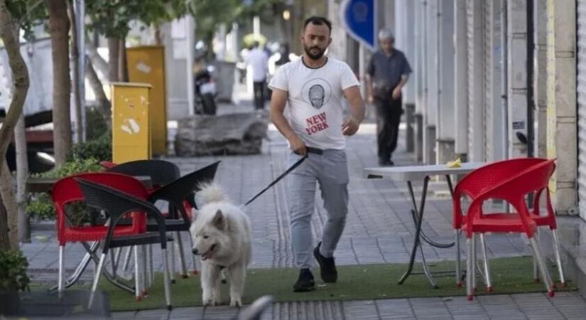 Iránban tisztátalan dolog a kutyatartás- és sétáltatás