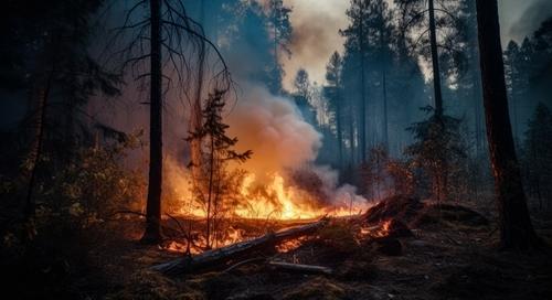Az amerikai Oregon államban evakuálják az embereket erdőtűz miatt