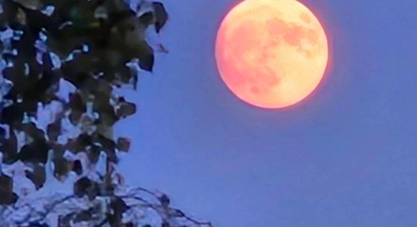 Lenyűgöző látványt nyújtott az éjjeli eperhold
