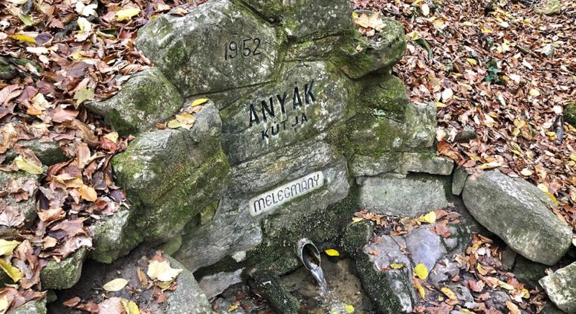 Hányinger, hányás, hasmenés – ezekből a mecseki forrásokból ne igyál!