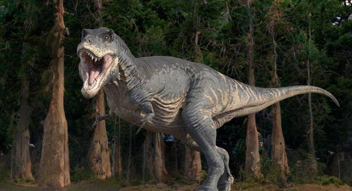 Szenzációs felfedezés: egy új faj átírhatja, amit a dinoszauruszokról eddig tudtunk