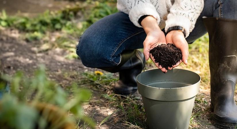 A környezetvédelem kérdéseit járják körül ezen a debreceni beszélgetésen