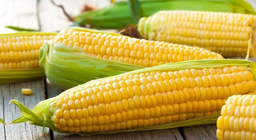 Ön is kaphat rendkívüli állami támogatást? Mutatjuk!