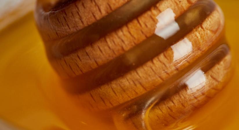 Évtizedes mélyponton a méztermés