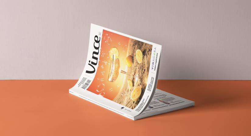 Lapajánló: péntektől kapható a Vince magazin júniusi száma