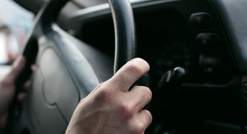 Elsőbbség jár a struccnak, de szabad meztelenül vezetni - a világ legfurább közlekedési szabályai