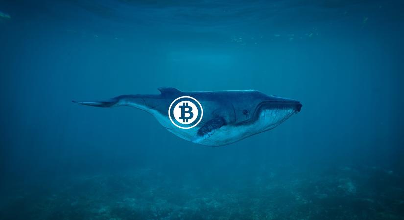 Pont a csúcs előtt fékeztek be a Bitcoin bálnák