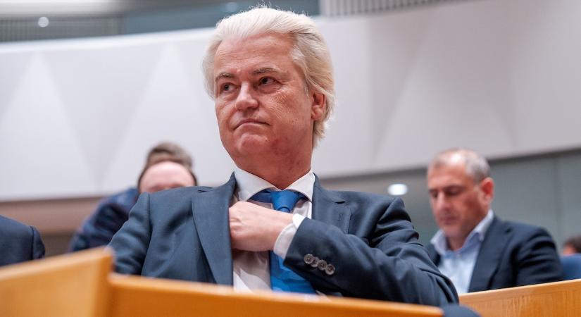 Minden esélye megvan a győzelemre Geert Wildersnek