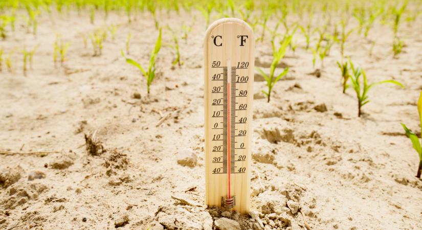 Emiatt már a gazdák megélhetése is bajba került: erre fel kell készülni