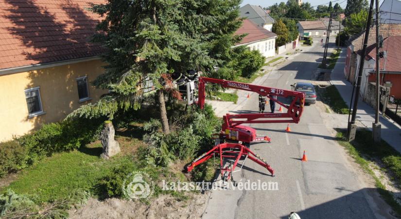 Sikeresen zárult a nemzeti minősítő gyakorlat Süttőn