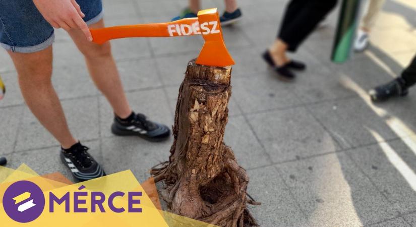 Csak találgatni lehet, ki jár jól a tarvágási törvénnyel