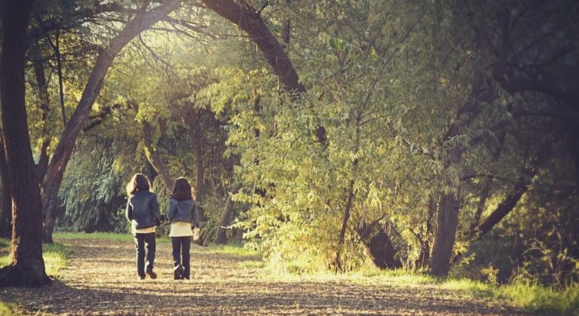 A nyugalom szigetei Budapesten és környékén – 4 arborétum, ahol jólesik elidőzni