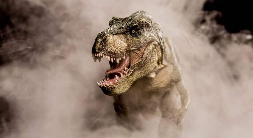 Új rokon bukkant fel: átírják a T-Rex családfáját