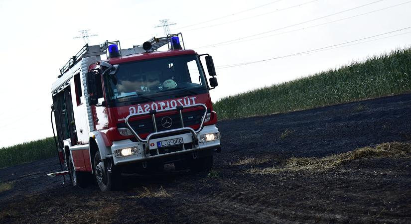 Már csaknem 4000 szabadtéri tűzeset történt az idén