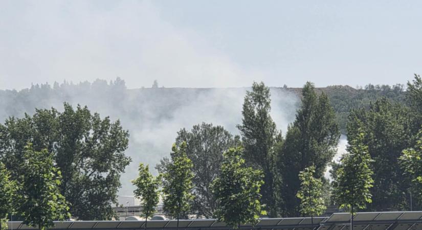 Tűz volt a dorogi égetőnél