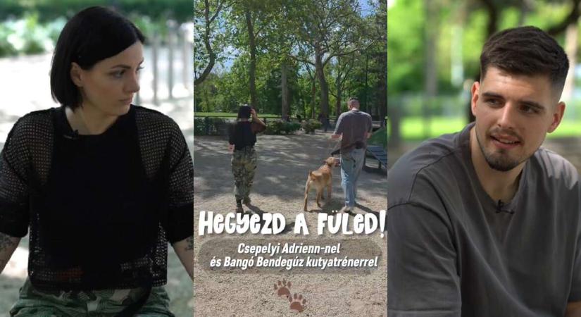 A szülőn múlik, mennyire állatbarát a gyerek – Hegyezd a füled! (videó)