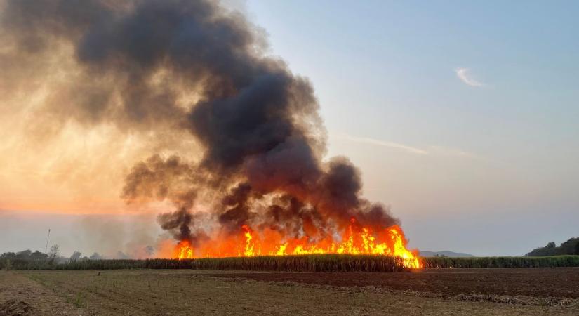 Lángokban áll a karcagi határ egy része, rengeteg tűzoltóautó tart a helyszínre