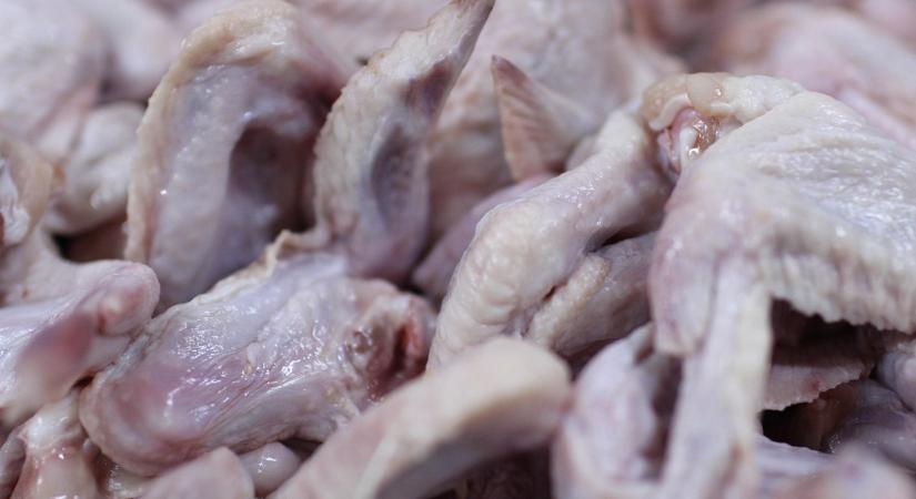 NAV-akció: óriási szabálytalanság egy baromfi-feldolgozóban