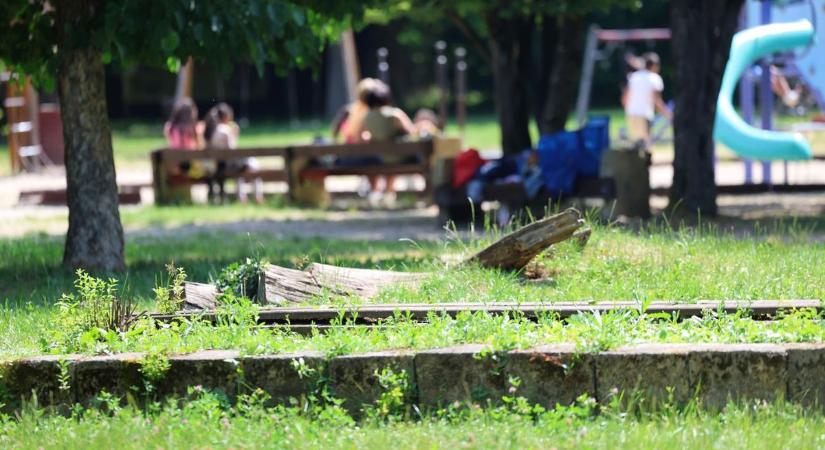 Ezt (is) találja a miskolctapolcai parkban az arra járó - képek, videó!