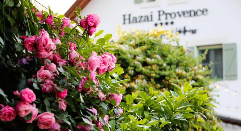 Balatoni butikhotellel és étteremmel bővült az Eventrend Group portfóliója