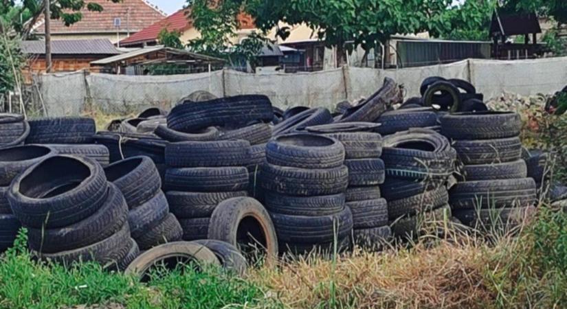 Akció a környezet védelméért