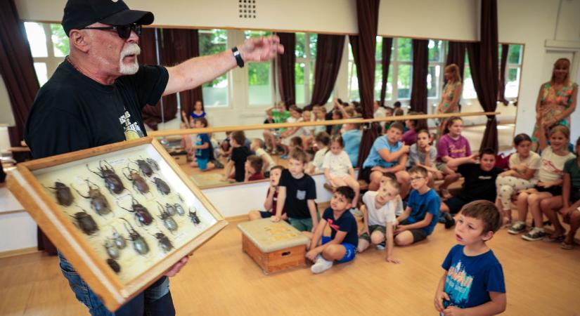 Borzongás és sikítozás: Tenyérnyi szörnyek lepték el a tornatermet