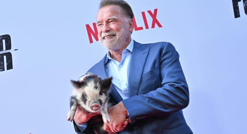 Malacával a karjában vörös szőnyegezett Arnold Schwarzenegger