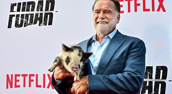 Arnold Schwarzenegger egy törpemalaccal ment premierre