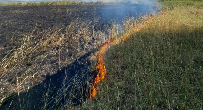 Rettentő hatása volt a hatalmas szélnek, ez történt a karcagi határban lángoló tűzzel