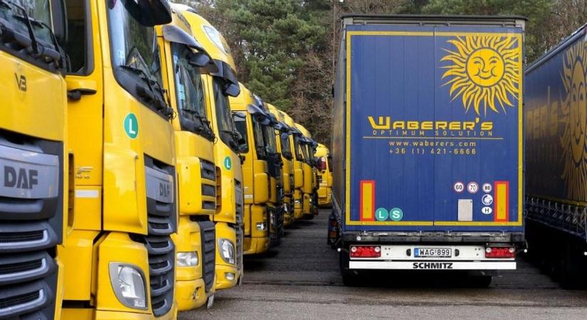 Waberer's: óriási ralira van kilátás, vételre ajánlják a részvényt