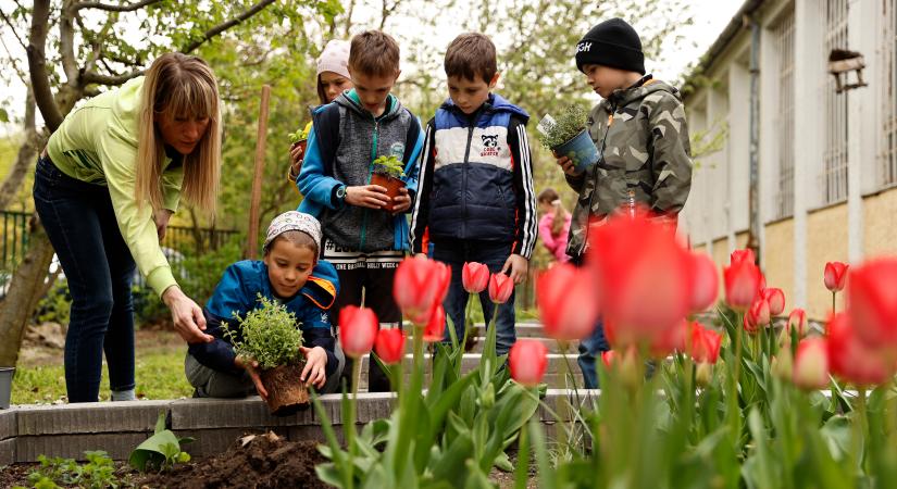 Így lehet a gyerekeket környezettudatosságra nevelni – most meg is valósítják az ötleteiket