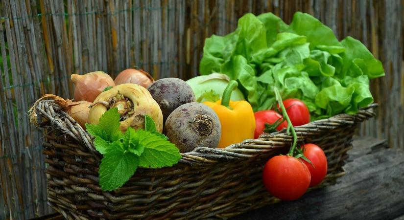 Még a szezonban sem tud versenyezni a magyar paprika az észak-afrikaival - elmondták a termelők, hogy miért