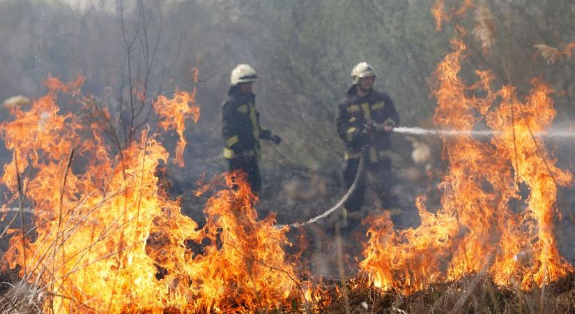 Pusztító avartűz Somogyban, három órán át küzdöttek a lángokkal – videó