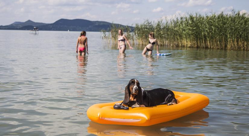 Jócskán emelkedtek a strandbelépők árai a Balatonnál