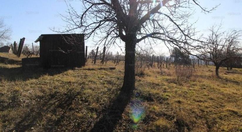 Meg fogsz lepődni mennyiért juthatsz földhöz a szomszédban