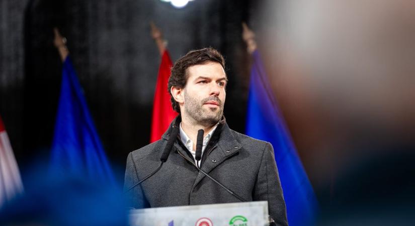 A Momentum fegyelmit indított Fekete-Győr ellen, ezért lemond a pártalapítvány éléről