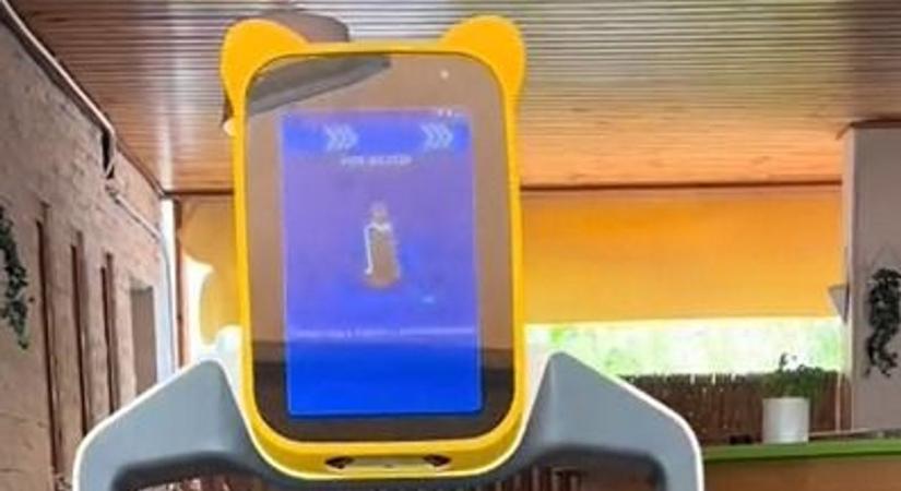 Íme Orsi, a Balatonfüreden dolgozó robot felszolgáló (videó)