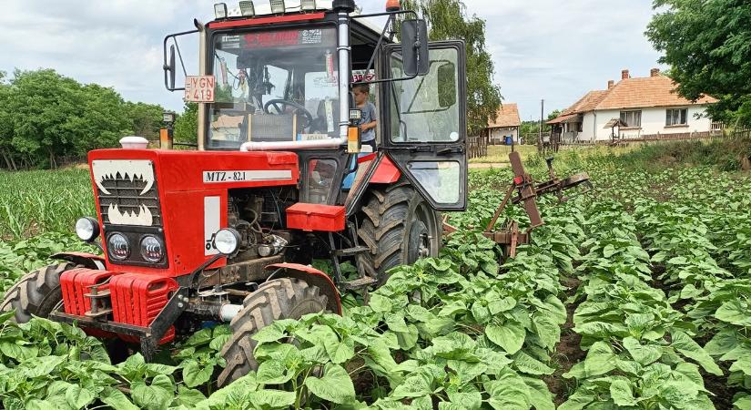 A hétvégi hőségre épp ráununk, mire ideér a front