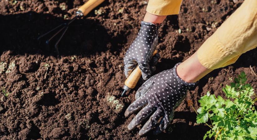 Csodatrükk, ami valóban működik: így turbózzák fel a talajt a profi kertészek