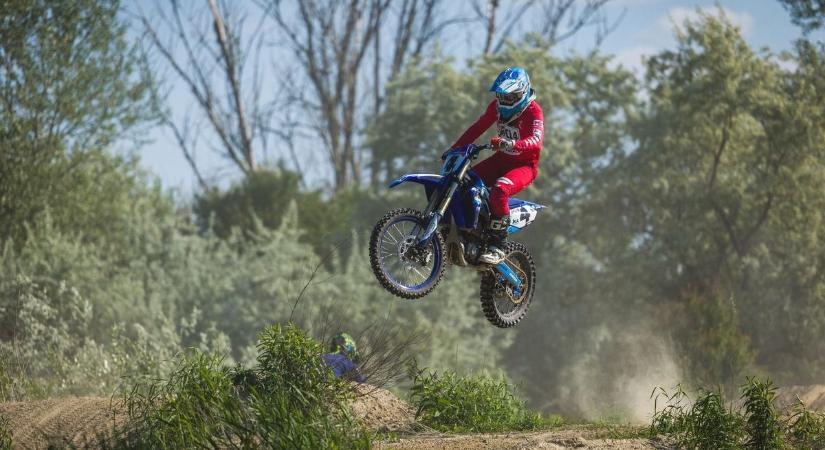 Hiába tilos, felszántják az erdőt a motorosok és a quadosok – elemi károkat okoznak