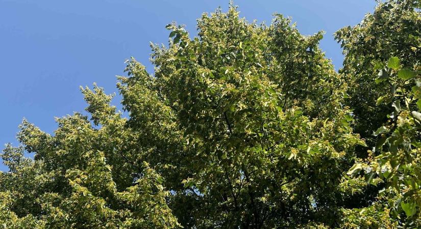 Zavartalan napsütés és kiváló strandidő várható