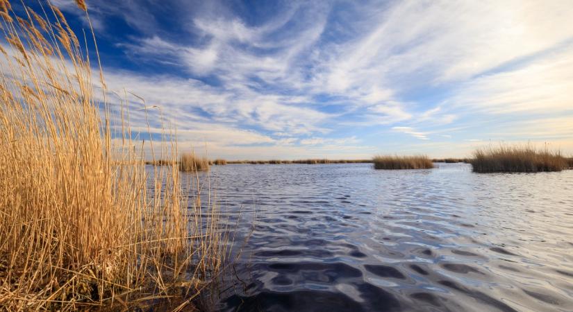 Mi történt a Fertő-tóval? Mutatjuk, miért járnak át a soproniak Ausztriába