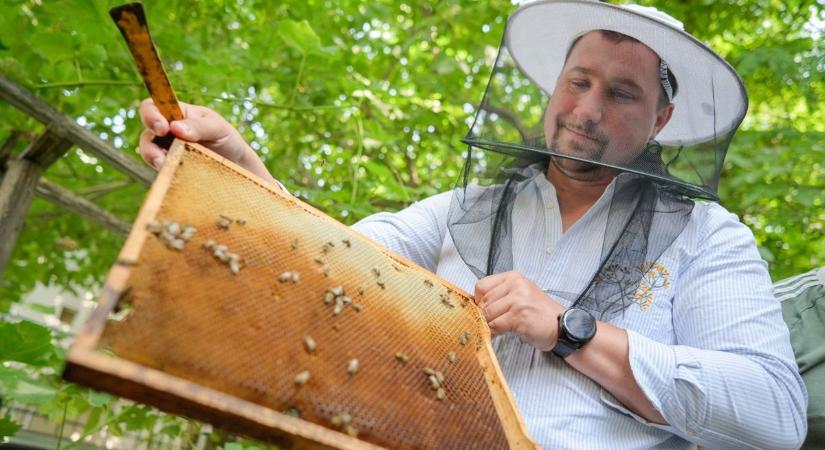 Elvitte a tavaszi fagy a magyarok kedvenc mézét is